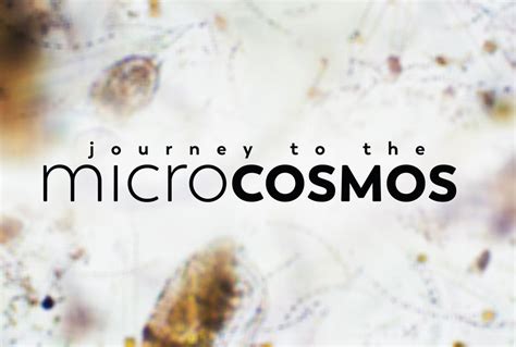  ¡Journey to the Microcosmos: Un juego educativo que te sumerge en el mundo invisible!